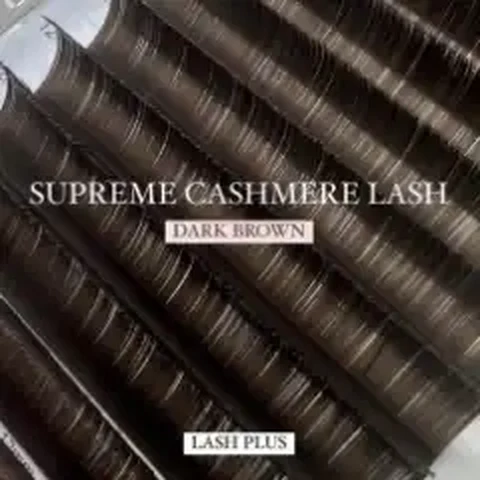 Lash Plus