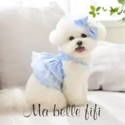 Mabelle fifi